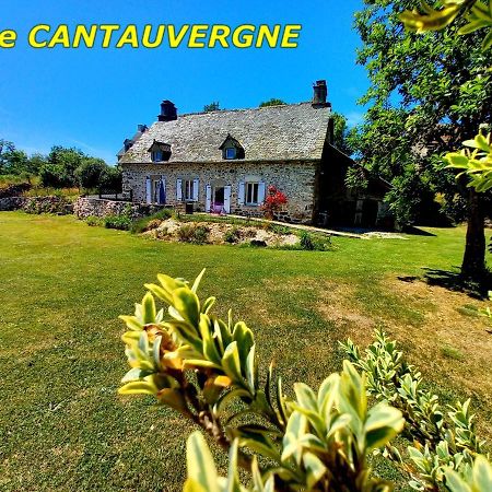 Gite Cantauvergne Villa Vebret Exterior foto