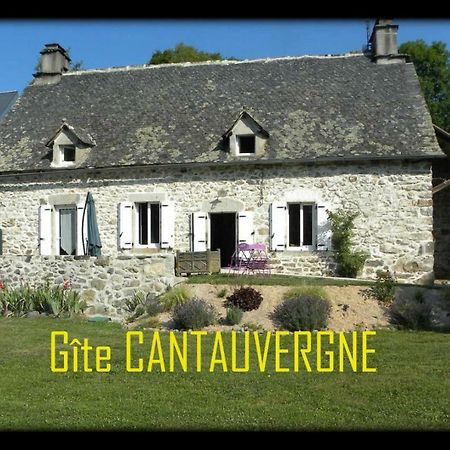 Gite Cantauvergne Villa Vebret Exterior foto