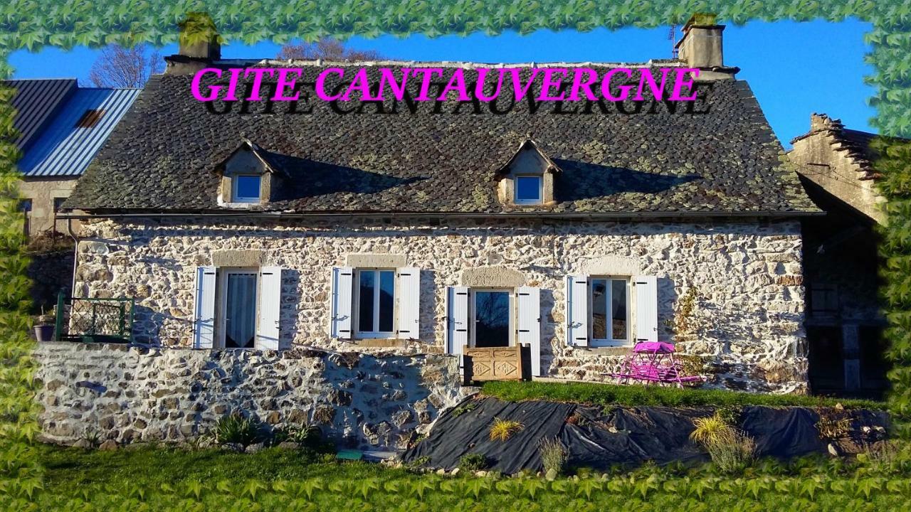 Gite Cantauvergne Villa Vebret Exterior foto